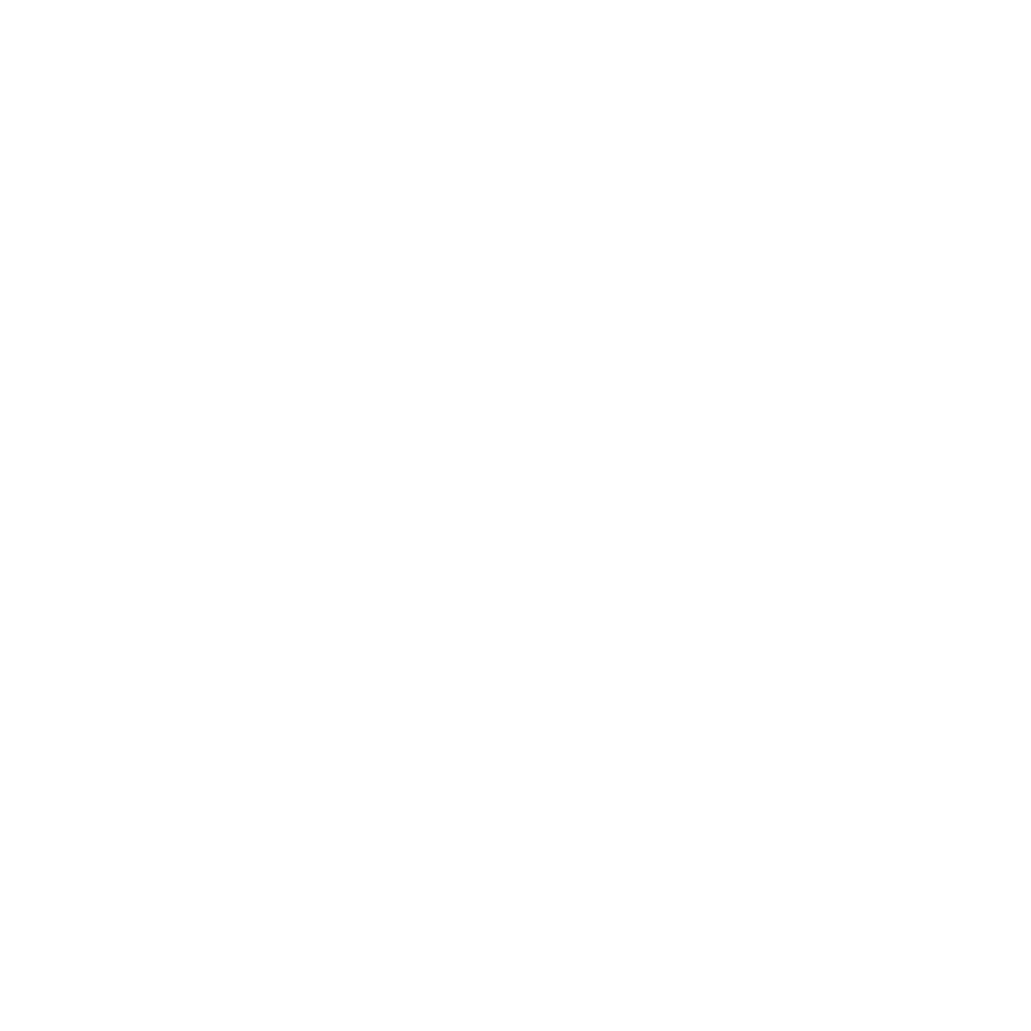Meridiam 20 Years Old