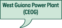 West Guiana Power Plant (CEOG)