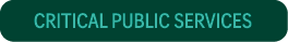 Critical Public Services