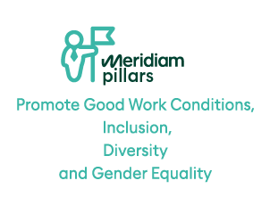    Promote Good Work Conditions, Inclusion, Diversity and Gender Equality