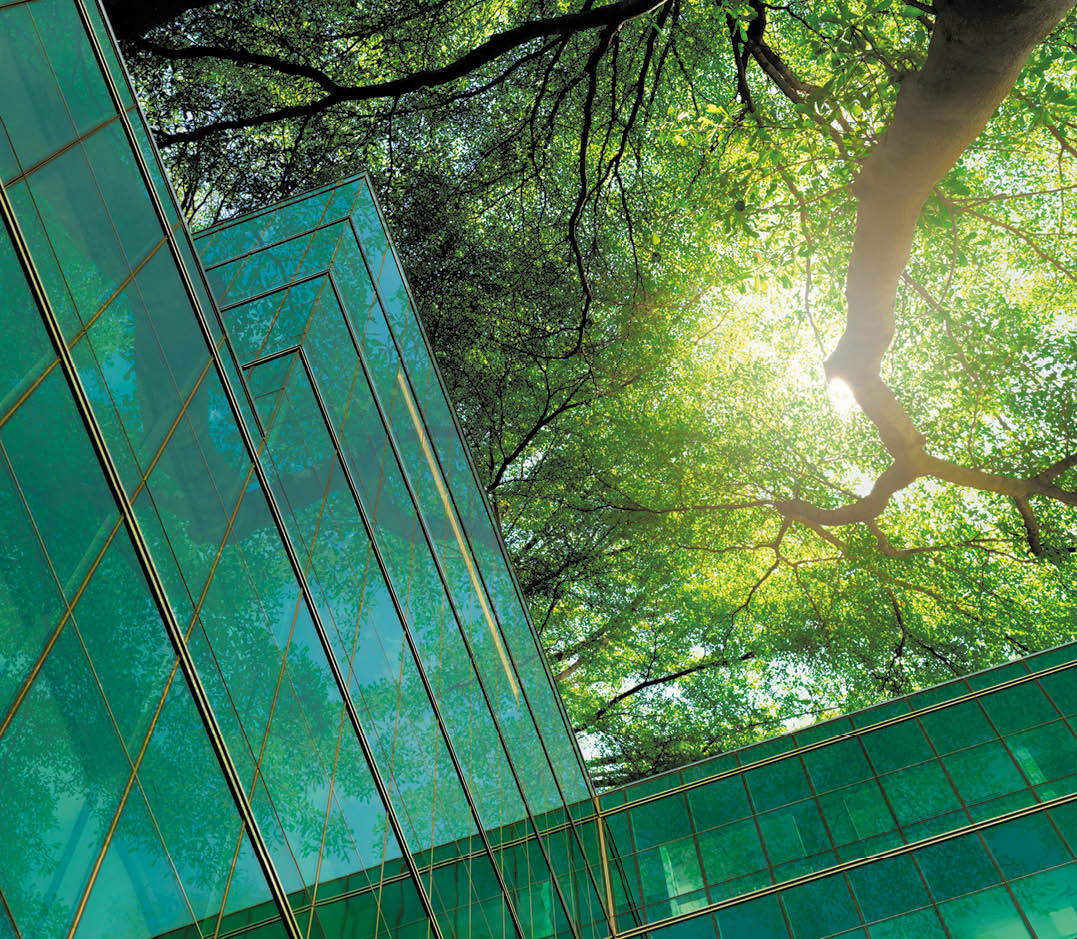 Eco-friendly building in the modern city  Green tree branches with leaves and sustainable glass building for reducing heat and carbon dioxide  Office building with green environment  Go green concept 