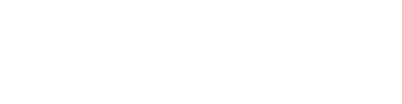 Business cases Digital Inclusion