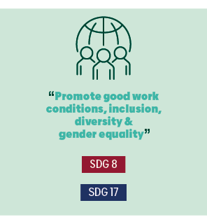   Promote good work conditions, inclusion, diversity & gender equality  SDG 8 SDG 17