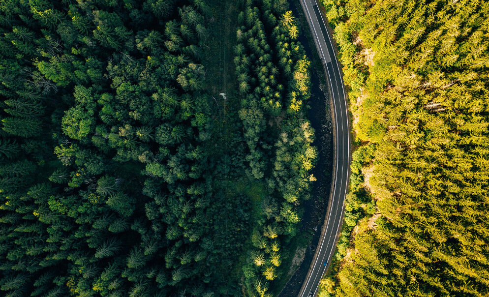 Aerial view of motorway cutting through forest
